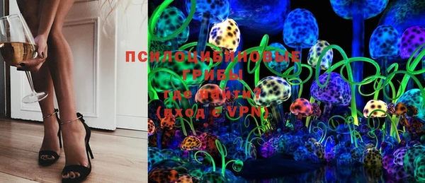 стаф Нефтекумск