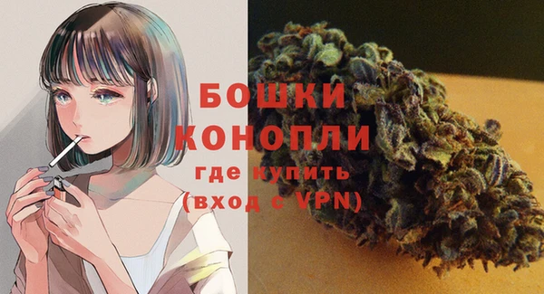 PSILOCYBIN Новодвинск
