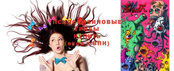 таблы Новозыбков